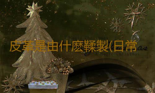 皮革是由什麽鞣製(日常見到的皮革是怎麽生產的?)